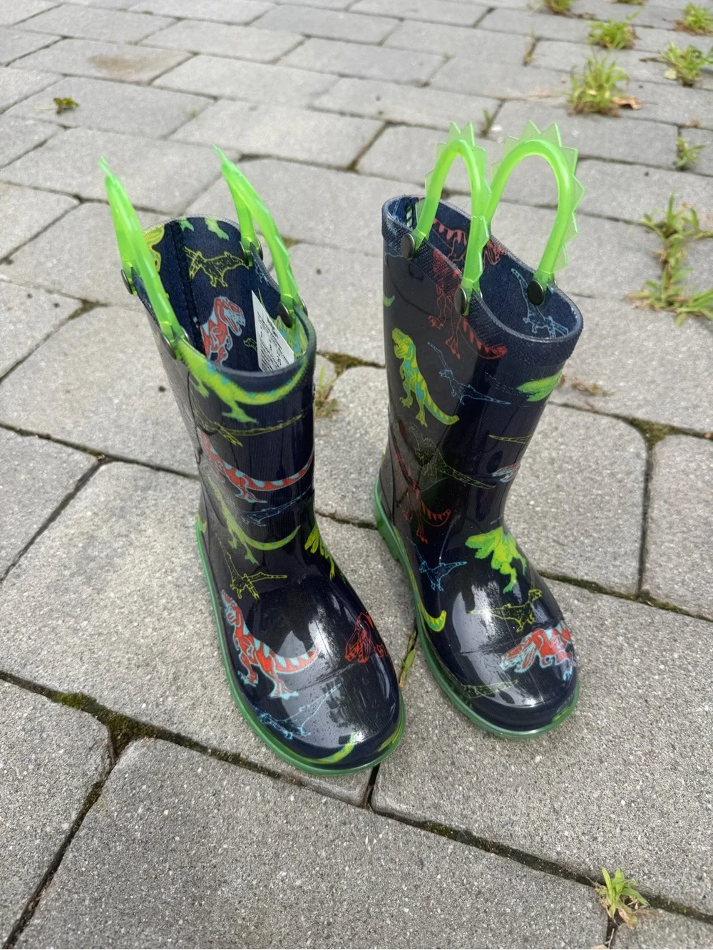Dinosaur Navy Blue Green Boys Rainboots 9C